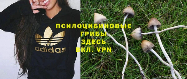 гашик Балабаново