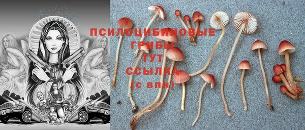 экстази Баксан