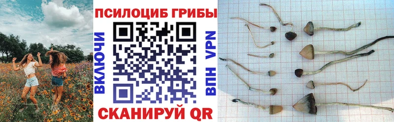 Галлюциногенные грибы мухоморы  Печоры 