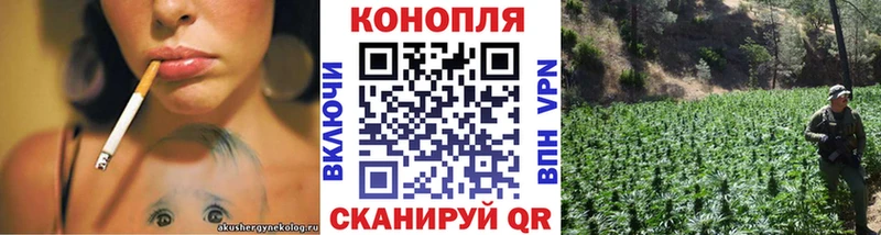 Бошки Шишки индика  Печоры 